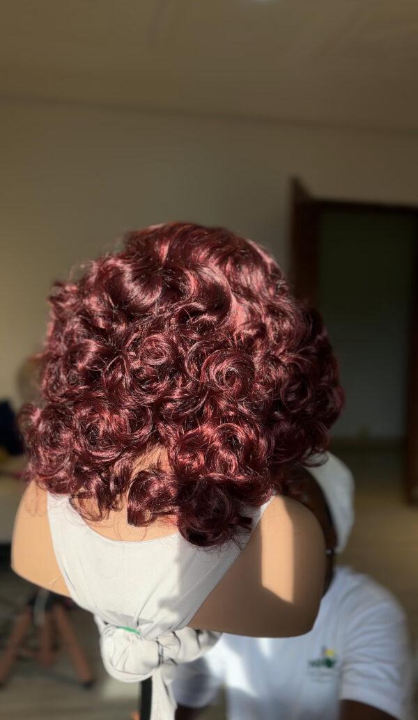 IMG_8747 Exotic Bounce Full Frontal Burgundy